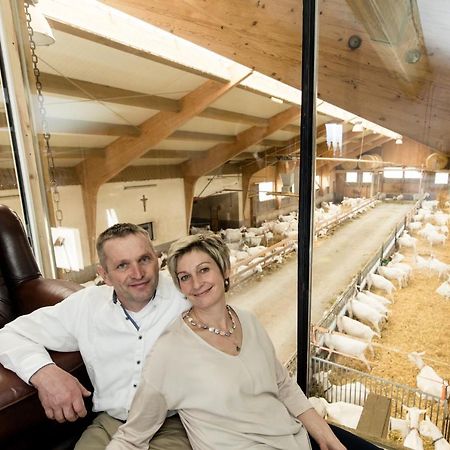 Auszeit Am Ziegenhof Nur Fuer Erwachsene Apartment Schlierbach Bagian luar foto